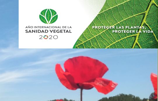 Jornada Divulgativa por el Año Internacional de la Sanidad Vegetal-2020