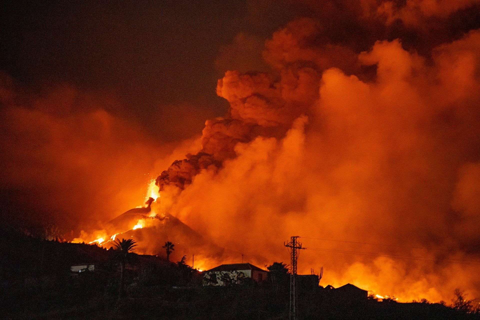 Conferencia: «Un volcán en erupción en Tajogaite: sus efectos sobre la Biodiversidad (Isla de La Palma)». 17 de noviembre, 18:00 h. - 1