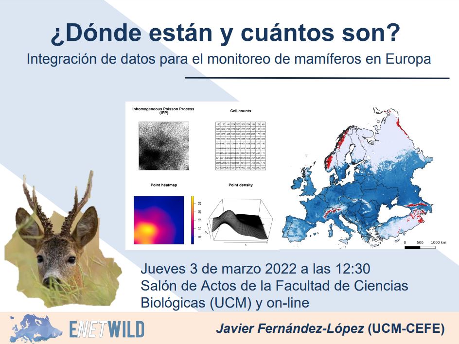 Conferencia «Integración de datos para el monitoreo de mamíferos en Europa». 3 de marzo de 2022