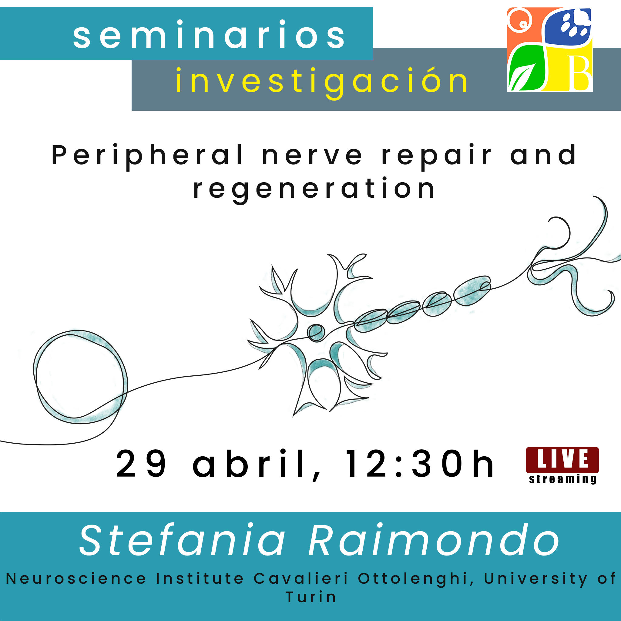 Seminarios quincenales de investigación: «Peripheral nerve repair and regeneration». 29 de abril.