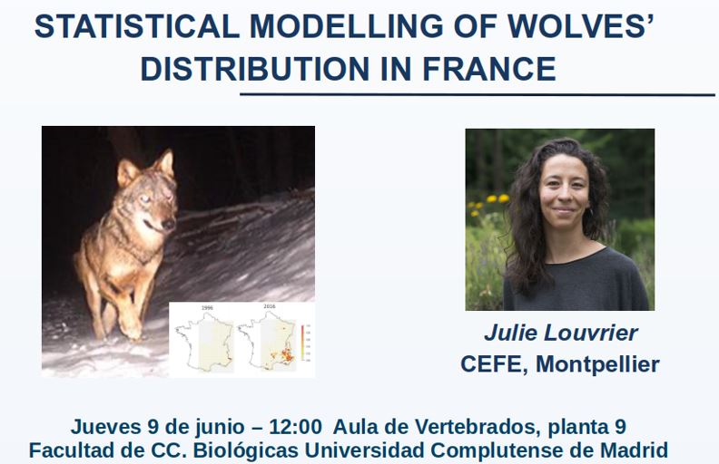 Conferencia: «Statistical modelling of wolves´ distribution in France. 9 de junio, 12:00 h.