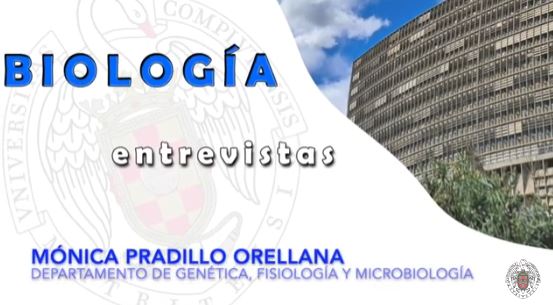 Biología en un minuto: Entrevista a Mónica Pradillo Orellana, de la U.D. de Genética.