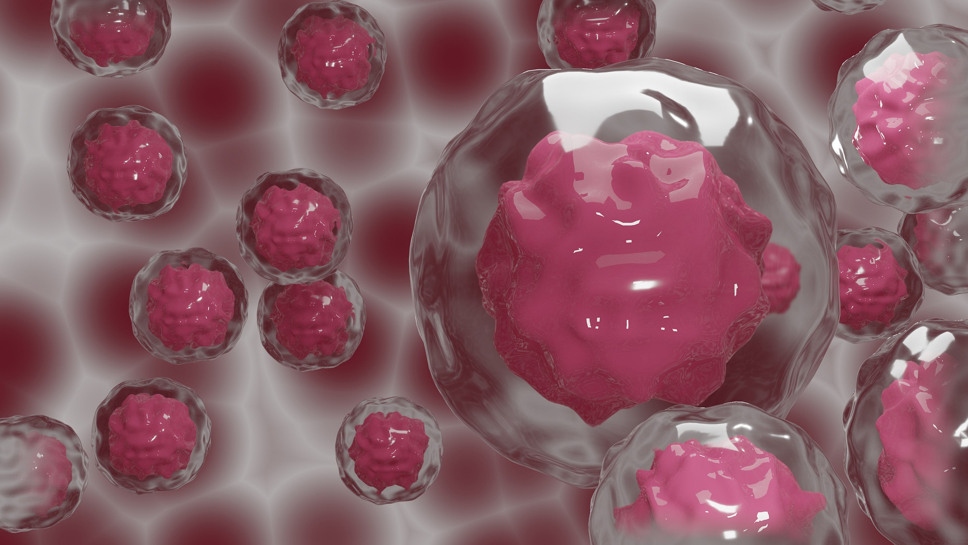 Webinar: Stem cells, immuneevasion and metastasis in colorectal cancer. 23 de febrero.