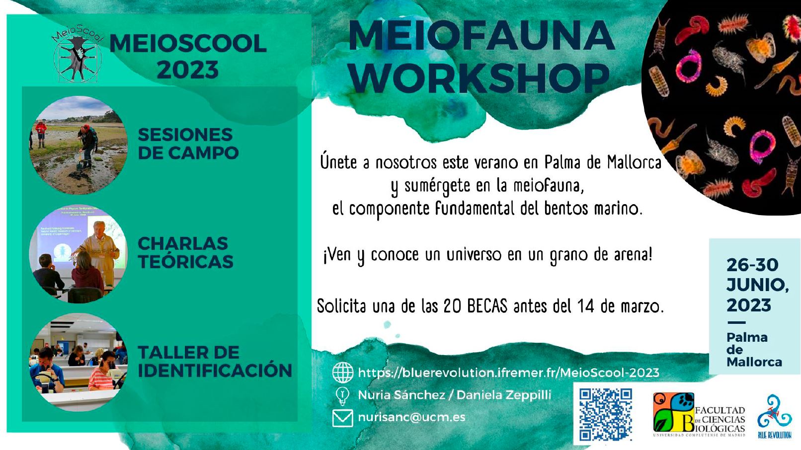 20 Becas para la MeioScool 2023 en Palma de Mallorca (hasta el 14 de marzo)