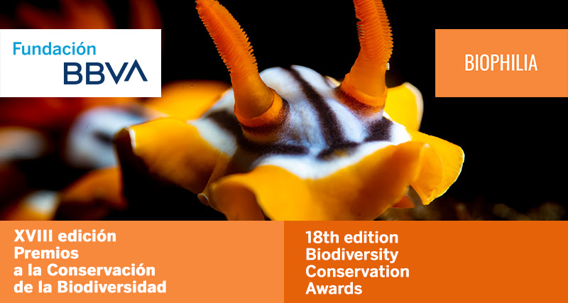 XVIII Premios a la Conservación de la Biodiversidad. Fundación BBVA. Convocatoria 2022  
