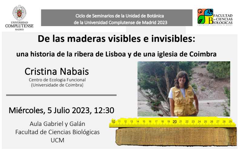 De las maderas visibles e invisibles: una historia de la ribera de Lisboa y de una iglesia de Coimbra