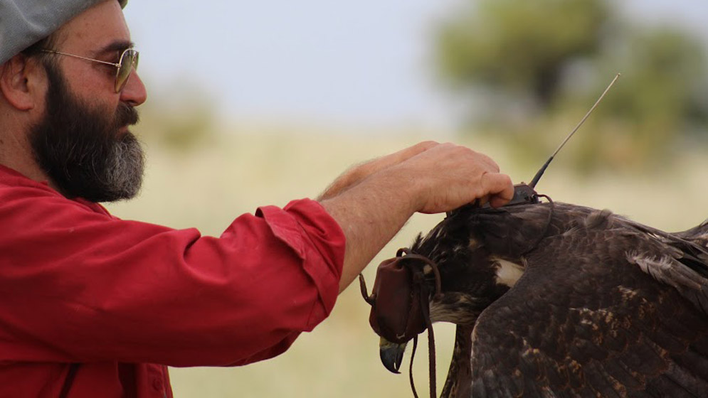 Conferencia: Conservación del Águila Coronada o del Chaco en Argentina. José Sarasola. 13 de mayo