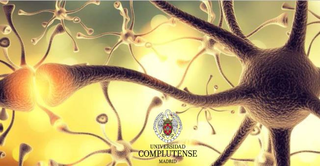 X Jornadas de Neurociencia. 12 - 14 de mayo de 2025. 