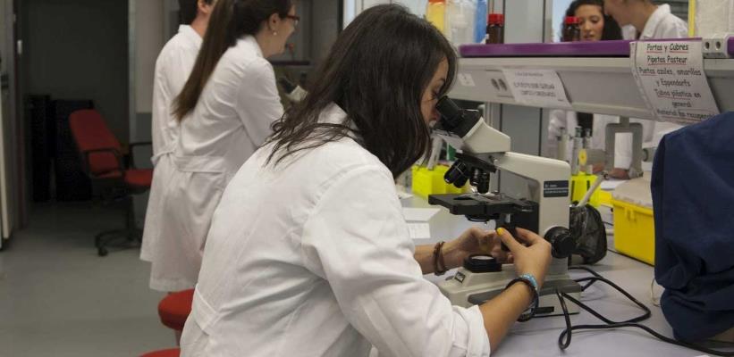 Elecciones a representantes de los sectores del Resto de Personal Docente e Investigador, Estudiantes y Personal Técnico de Gestión y de Administración y Servicios a Consejo de Departamento.