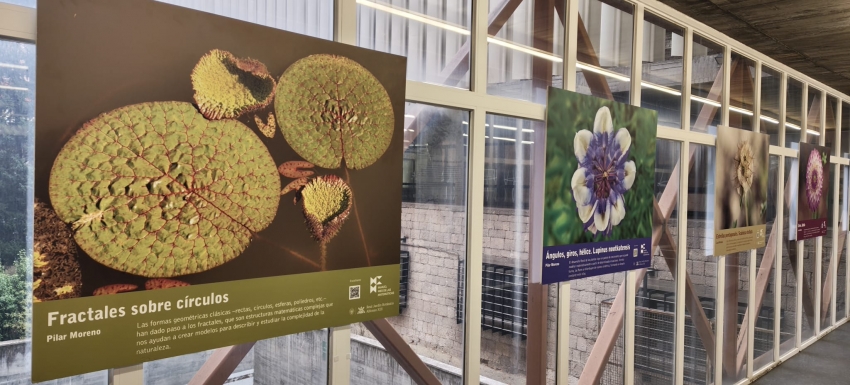 Exposiciones temporales de la Facultad de Ciencias Biológicas