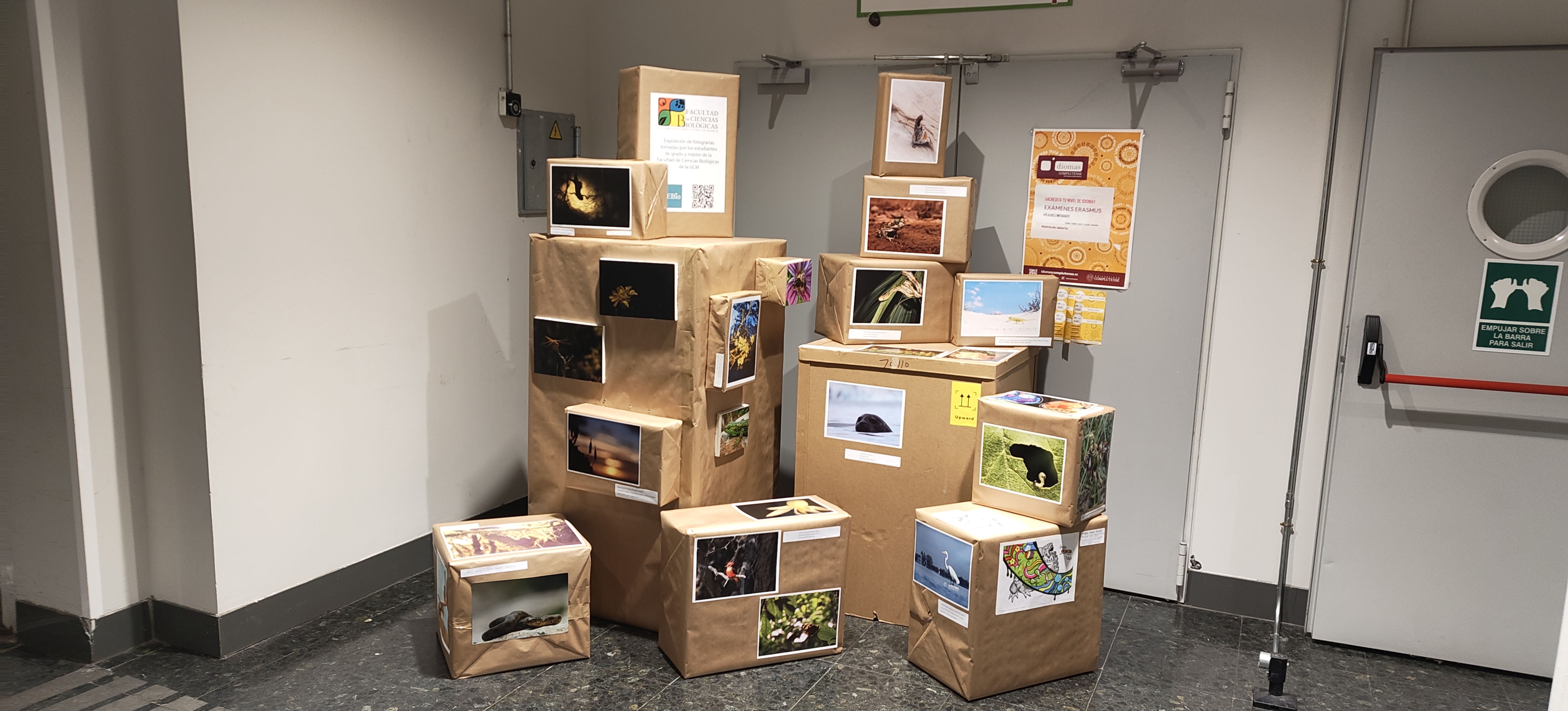 Exposición «Ciencia y Arte Visual», organizada por DEBio