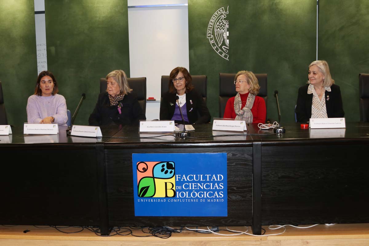 Mesa redonda