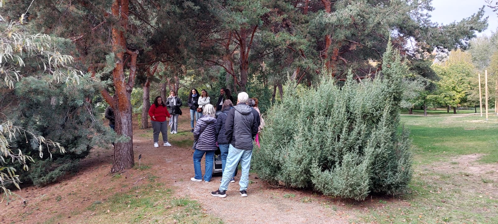 39-visita real jardin botánico alfonso xiii