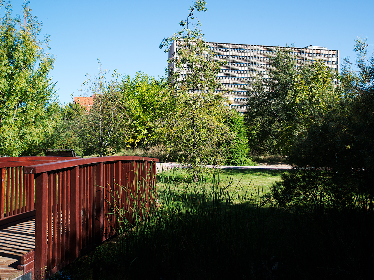 Vista desde el Real Jardín Botánico Alfonso XIII